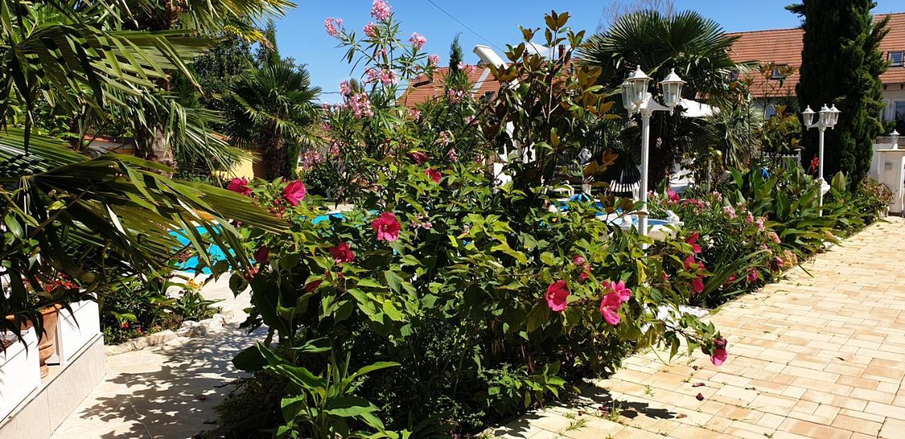Paradise-Garden-Zamárdi Buitenkant foto